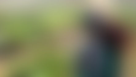 Grupo Alpina y Rockstart buscan startups agroalimentarias en Latinoamérica para programa de aceleración y financiación