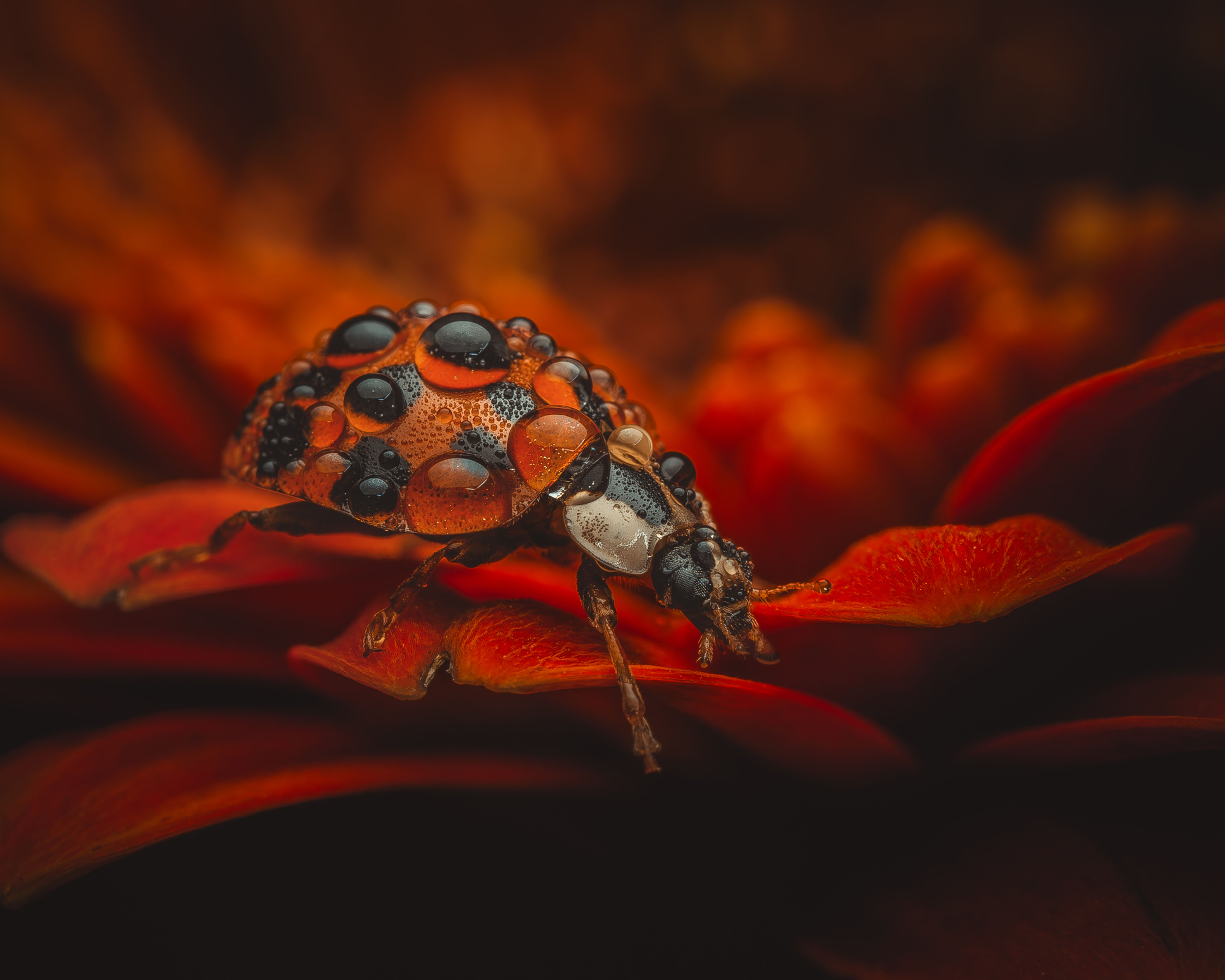 Mega Creative presets Pack x30