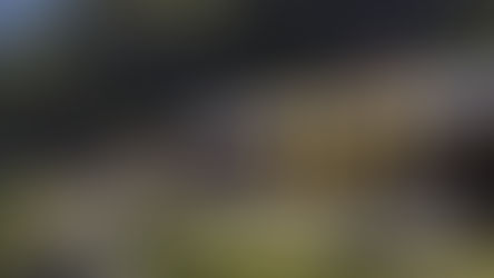 Alpkäserei Steingletscher