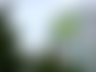 BP's Strategic Reversal: A Return to Oil and Gas Amidst Energy Transition Challenges