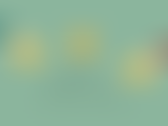 Passive Investing Prevails Once More