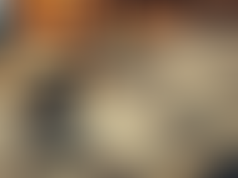 The Pitfalls of Analyst Ratings: Why Investors Should Look Beyond the Headlines