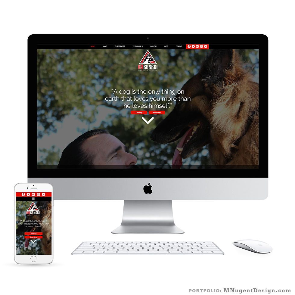 Website Design and Development