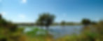 Lush river landscape with trees