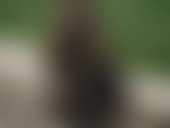 Wait, Is My Dog Stoned?