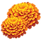 Gendaphool.png