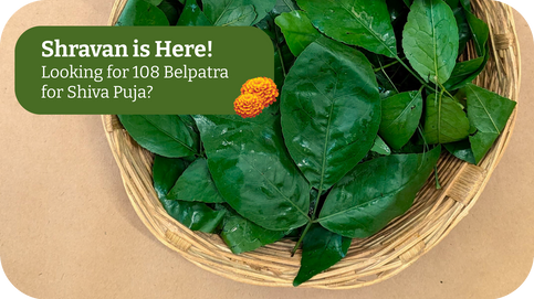ganpati pooja puja flowers ganesh flowers phool