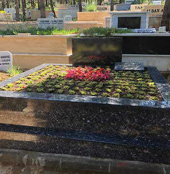 WhatsApp Image 2025-06-27 at 14.58.23.png