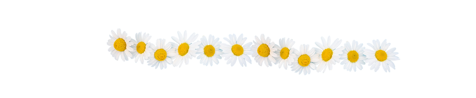 Daisy chain - Spring Screen Summer Break image