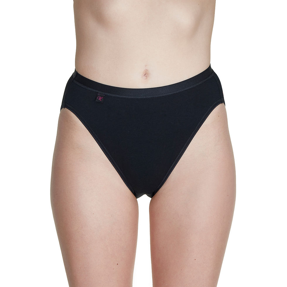 Thumbnail: Wysteria Lane Bamboo Comforts Women’s High Leg Briefs 3 Pack