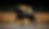 ARTE FINCA INICIO 3.png