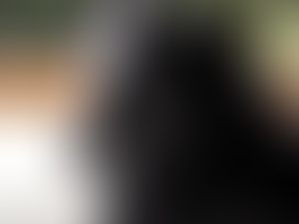 The Unique Character of the Friesian as a Standard of Beauty