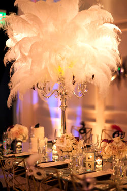 Michael Segal Photography