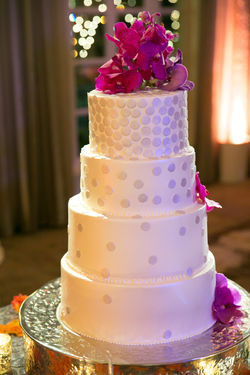 Michael Segal Photography