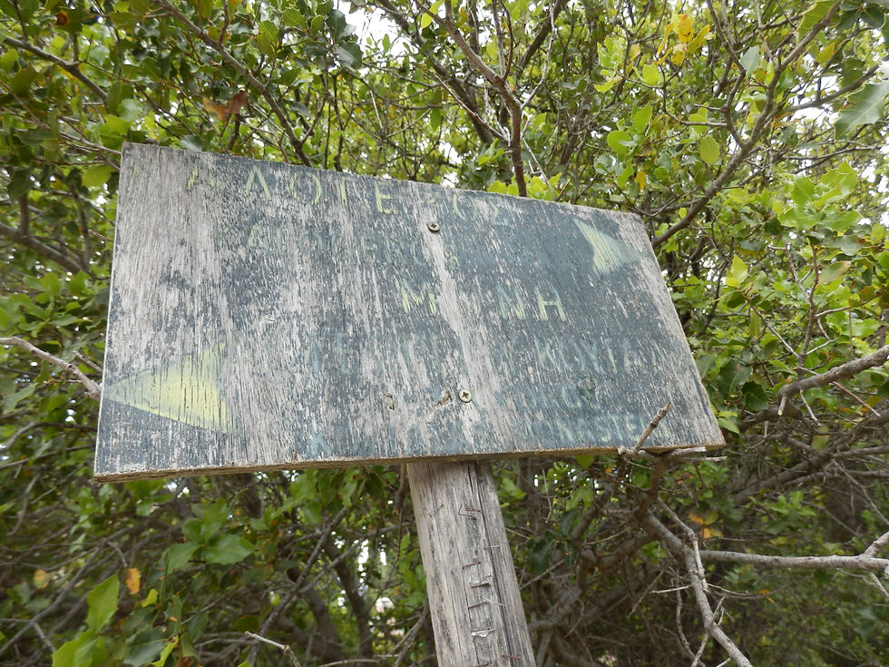 P4261493.JPG