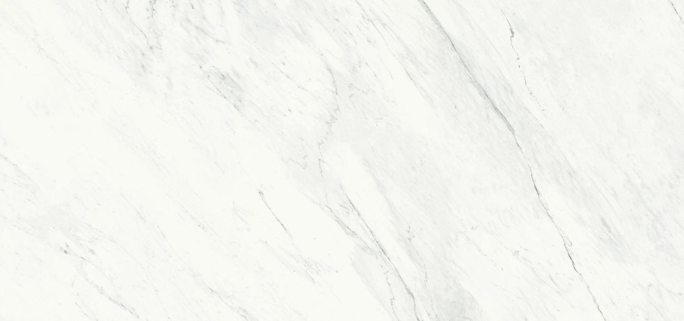섬네일: PREMIUM WHITE