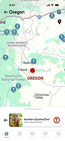 0019 Sightings Map d.png
