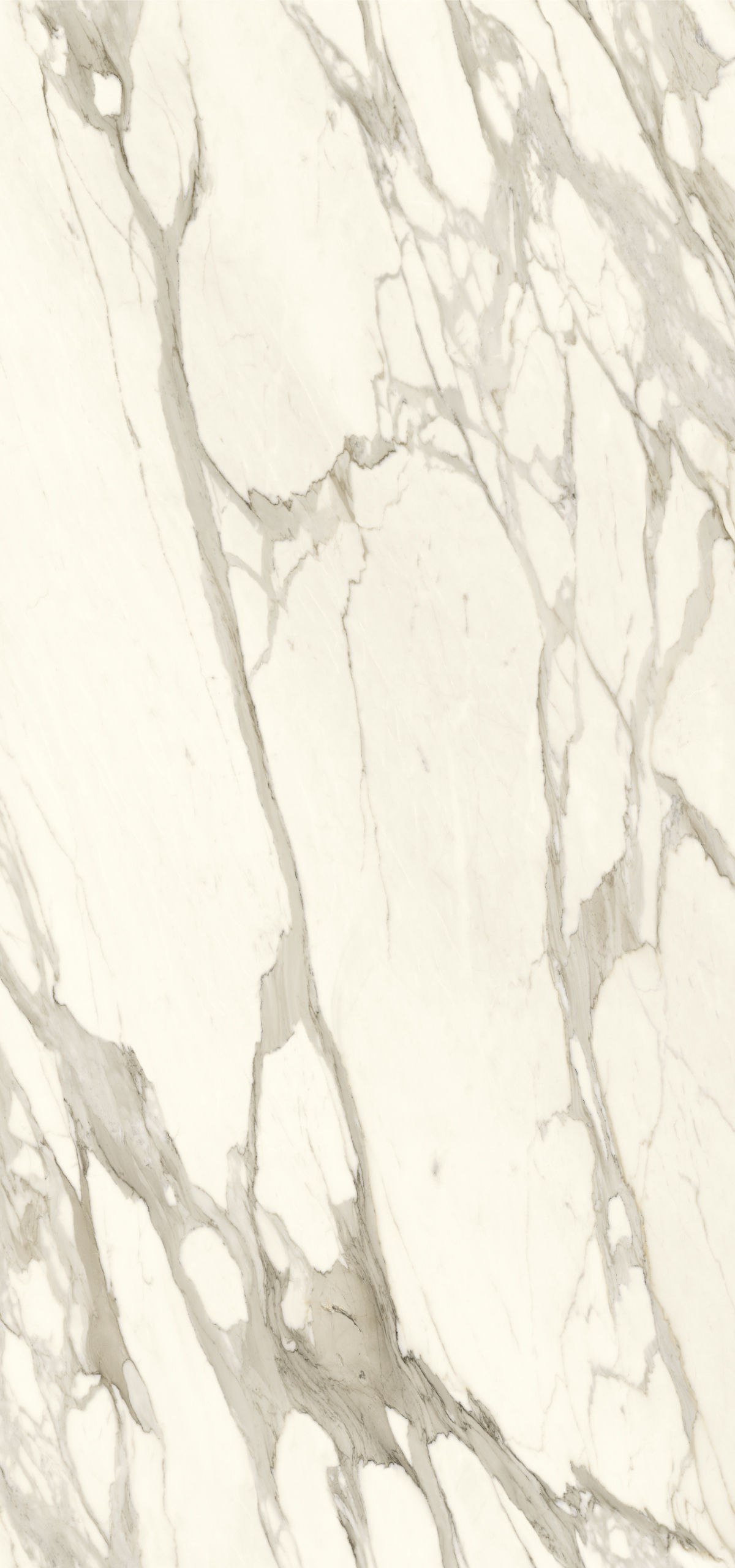 CALACATTA BERNINI