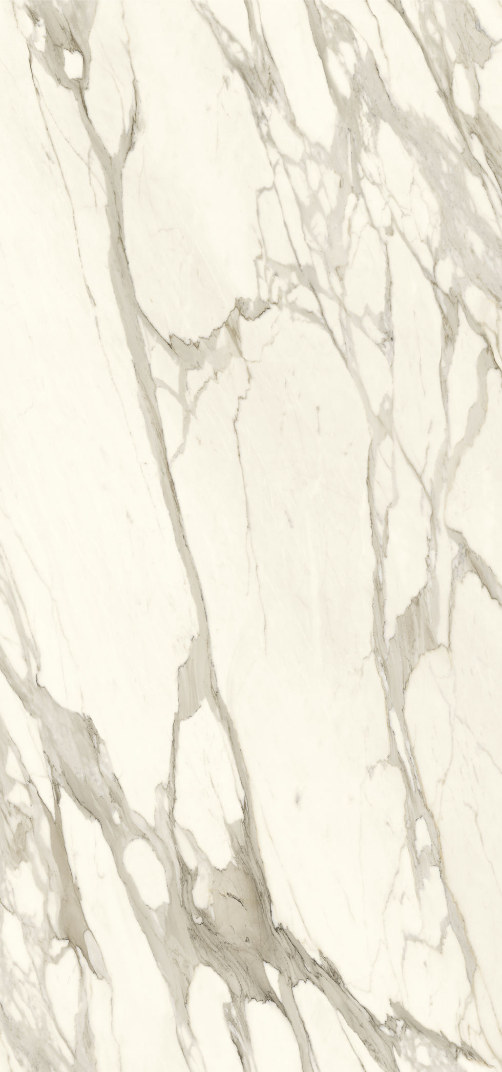 섬네일: CALACATTA BERNINI