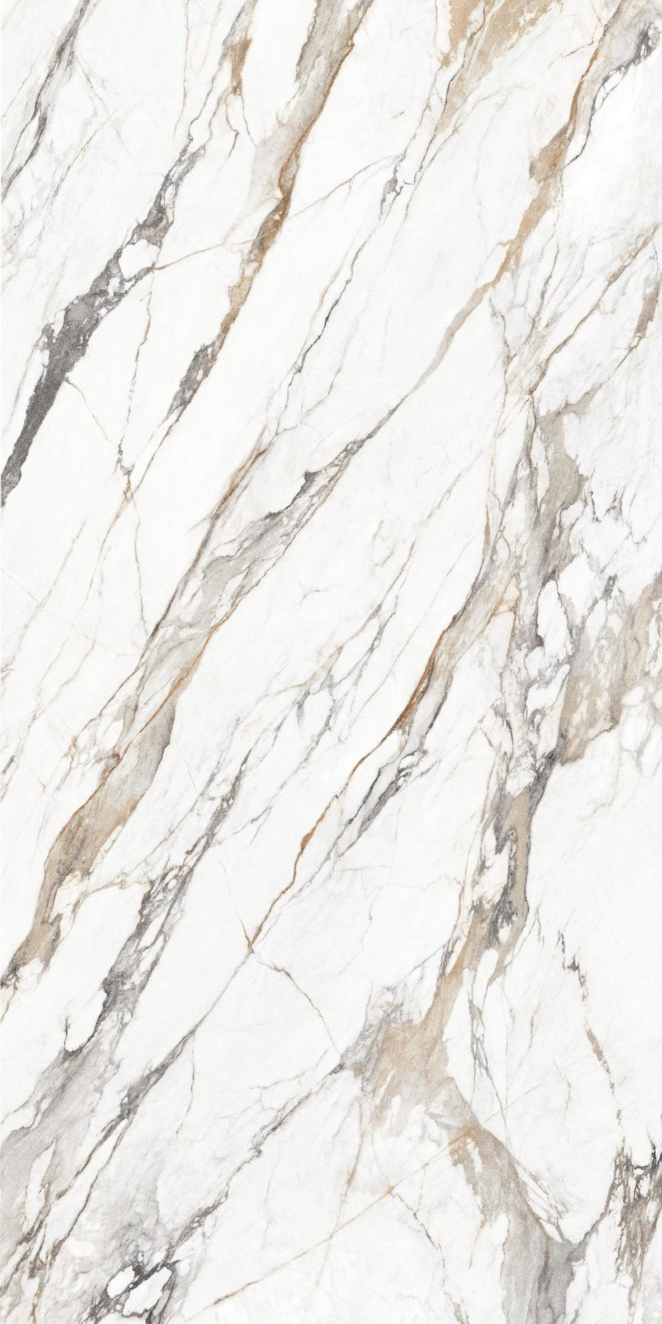 BLANC BORGHINI