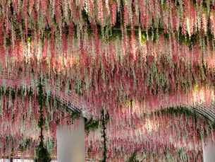 Navi Mumbai Airport Unveils Stunning New Terminal Design with Iconic Floral Canopy