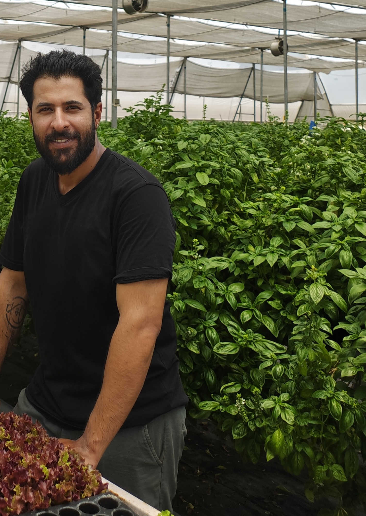 farmsay uchit.jpg