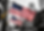 homepge usa flags.png