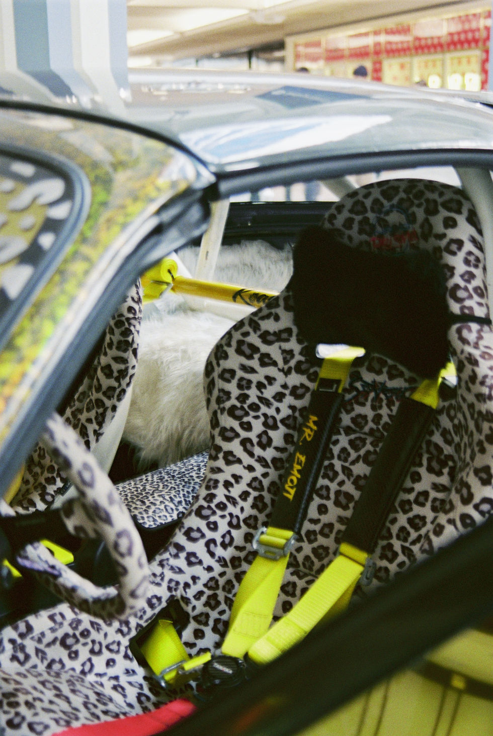 sheplavy1805933681-R1-11-25A