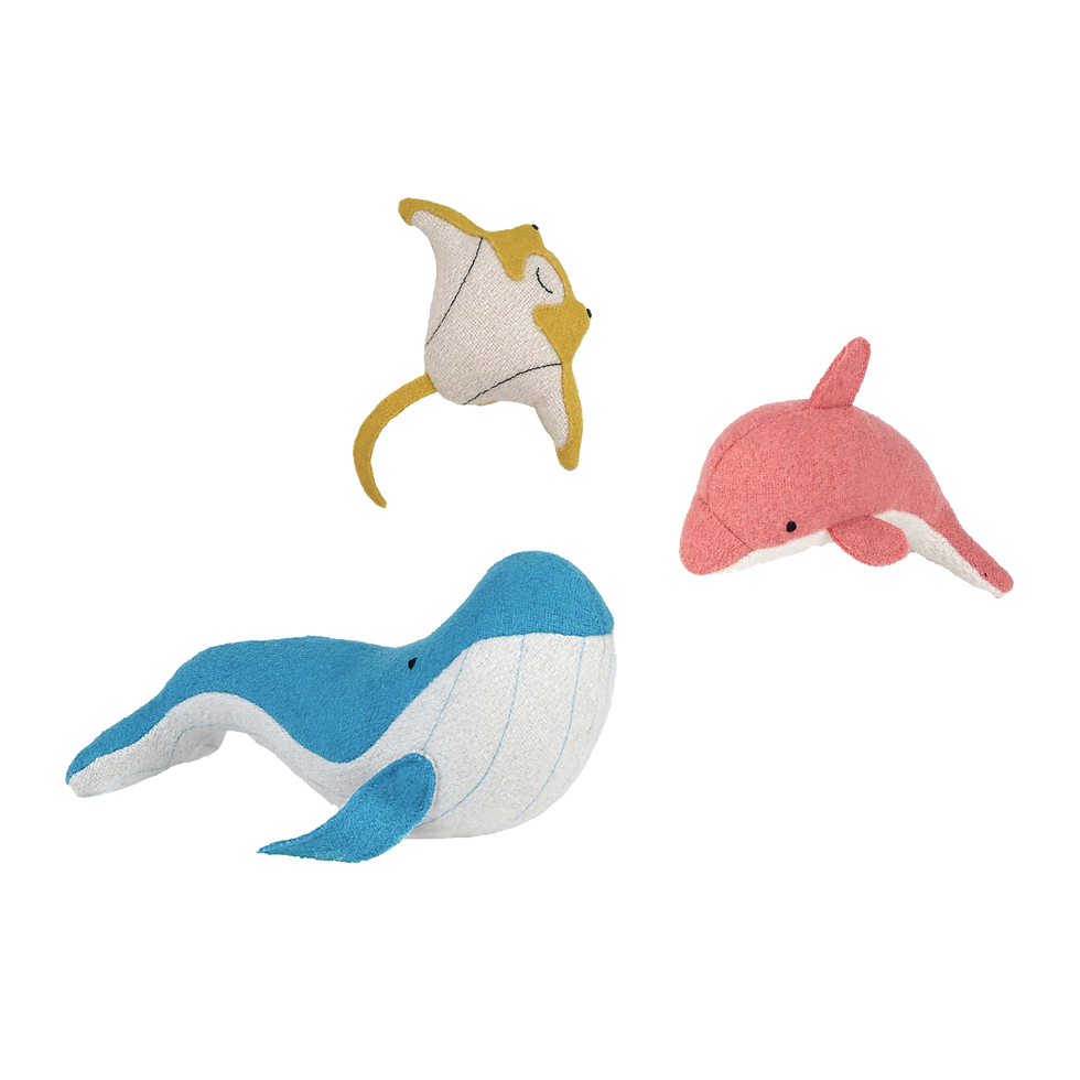 Thumbnail: Olli Ella - Holdie Folk | Ocean Animals