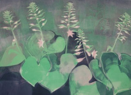 L.Gressani-Hostas.jpeg