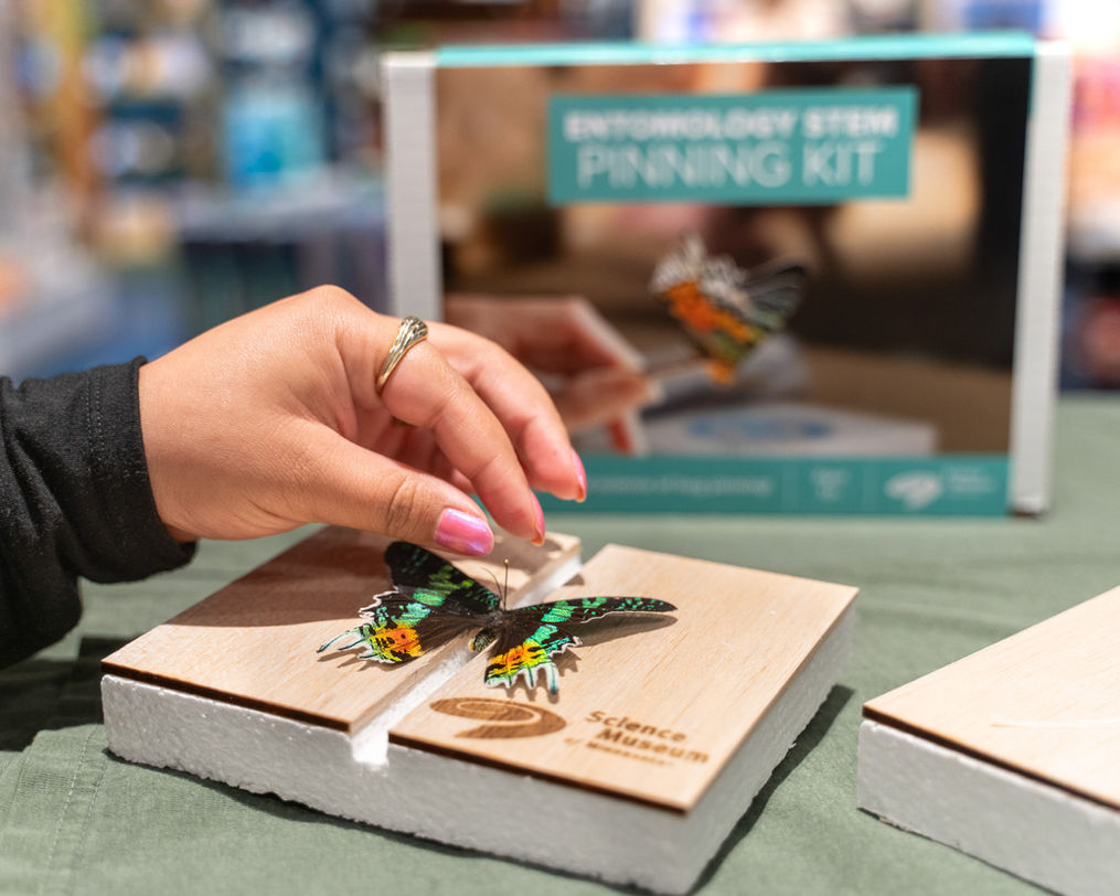 Entomology STEM Pinning Kit