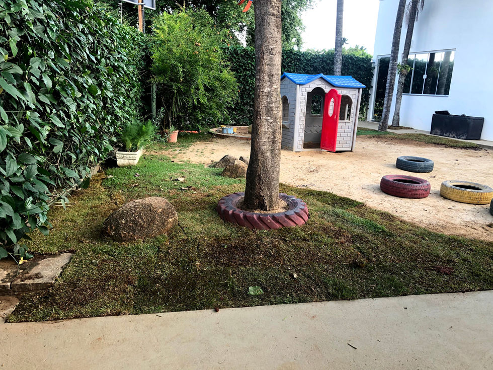 O verde na essência