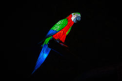 IMG_1716