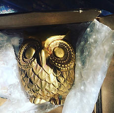 Coucou ! 🦉 une jolie chouette dorée est