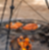 Forest Park-93_edited.png