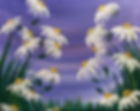 IMG_3530.jpeg