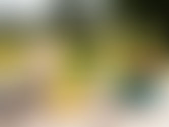 Come organizzare una giornata (o un weekend) senza schermi: guida estiva per riscoprire il tempo offline