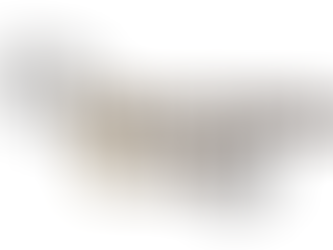 DRIVING CUP 2025/2026