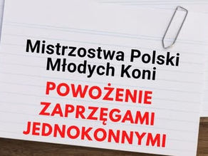 REGULAMIN MPMK 2025