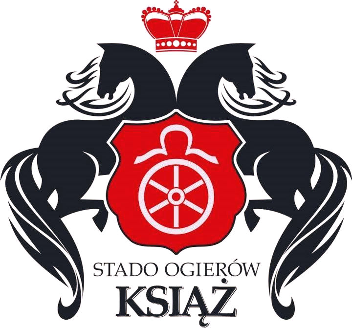 CAI Książ