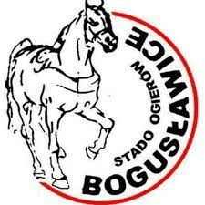 Bogusławice (POL)