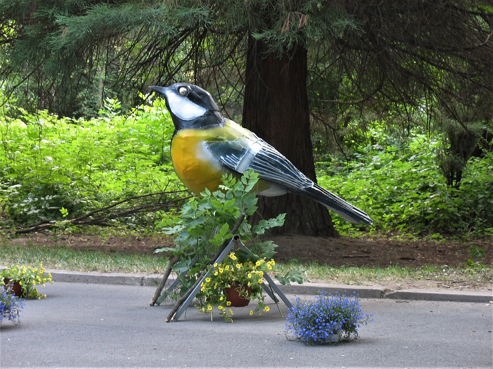 PARUS