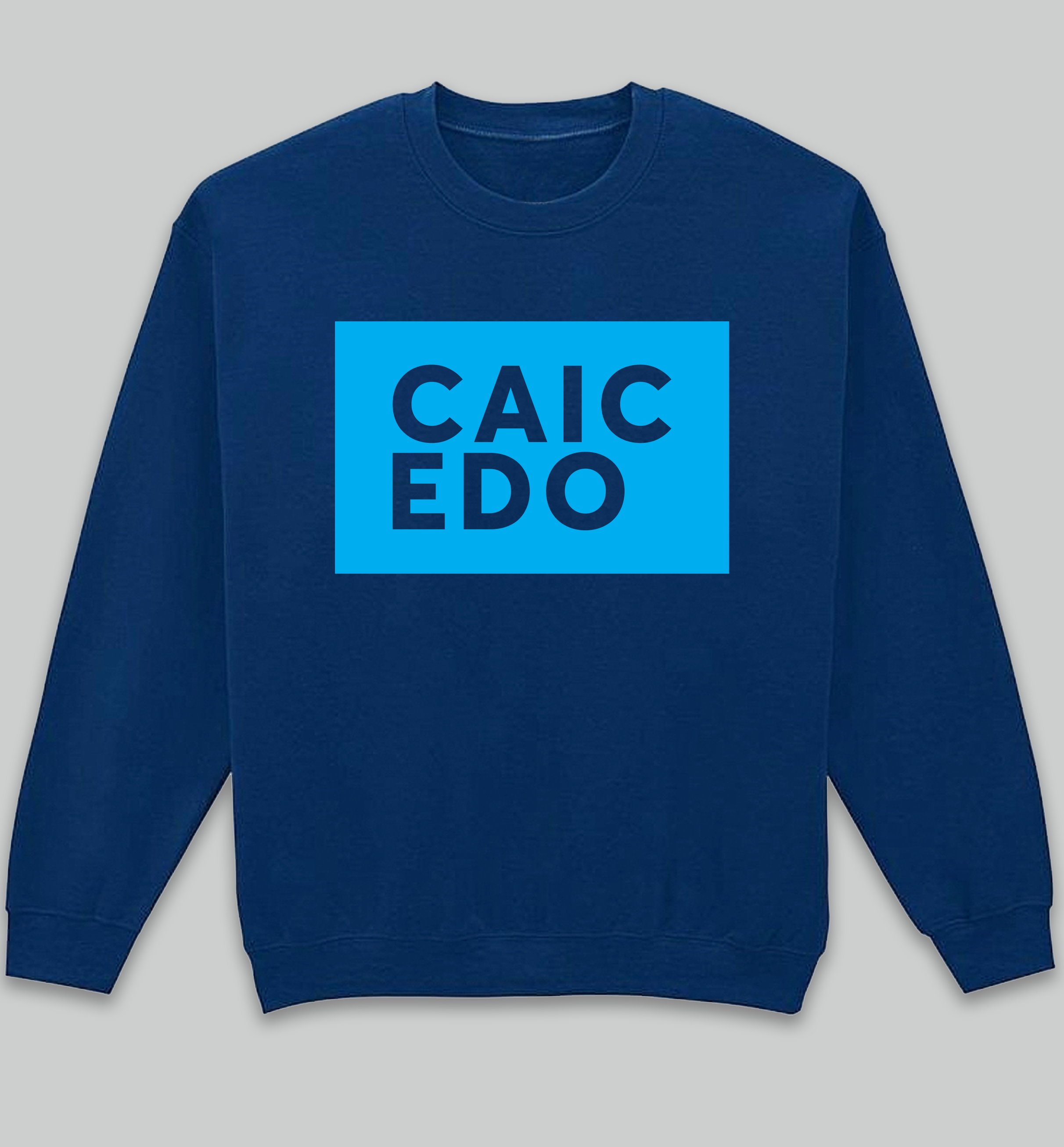 Caicedo print navy sweatshirt