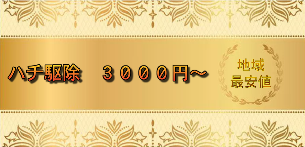 無題.png