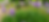 Progetto senza titolo (50).png
