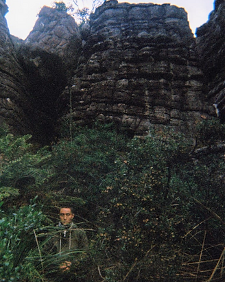 image 5 (1).png