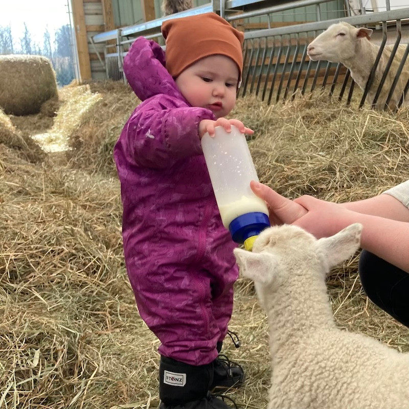 Margot feeding milk to a lamb. Photo by Cait White, 2021.