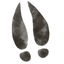 Hoof 1.png