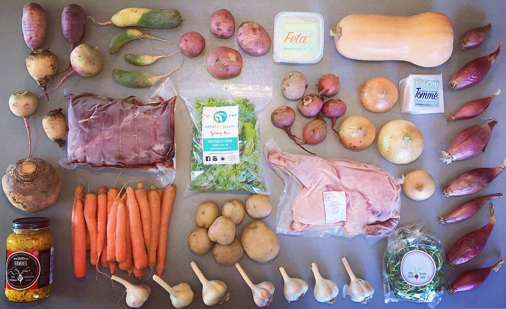 Contents of a Farmhouse Food cooperative box. Photo by Cait White, 2019.