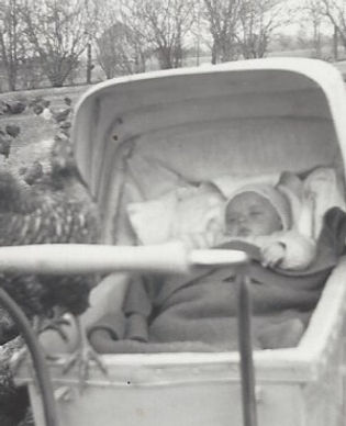 Living with Deep Roots: The Story of Gwen Davis and Her Family Farm in Rural Ontario 